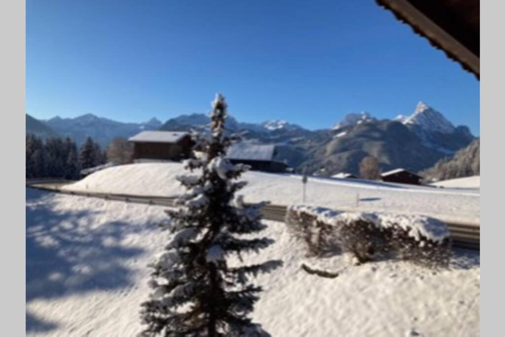 Chalet Soldanella 10 Guests Gstaad Eksteriør billede